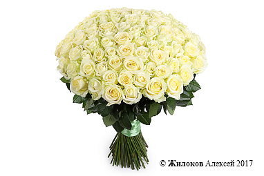 ����� 101 ���� ������� 60/70 ��