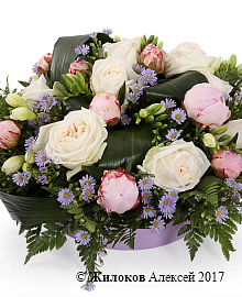 ���������� �������� ���� � �����