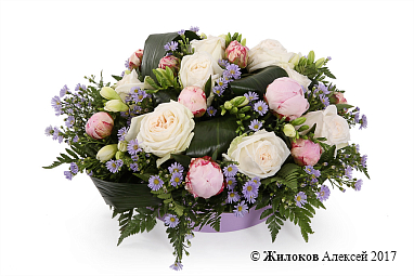 ���������� �������� ���� � �����