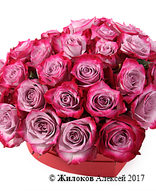 ���������� ������� ����� � ������� ������� ������ (����)