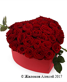 ����� ������ ����� � ������� ������� ������