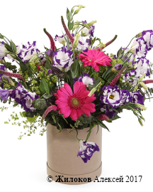 ����� ��������� ����� � ������� �������