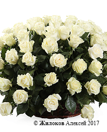 ����� 101 ���� �������� � �������