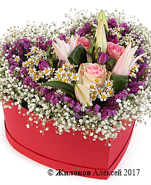 ����� ������� ��������� � ������� ������� ������