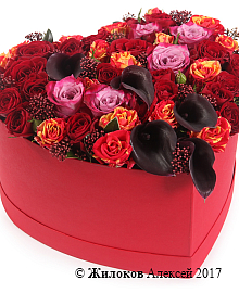 ����� ����� ���� � ������� ������� ������