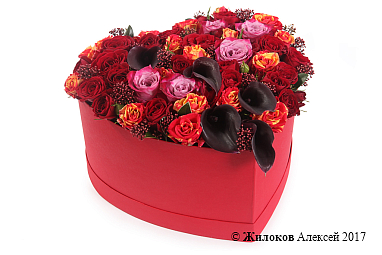 ����� ����� ���� � ������� ������� ������