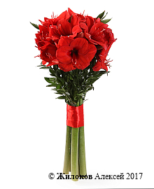 ����� � �������������� ��������