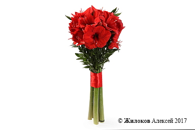 ����� � �������������� ��������