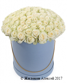 ����� 101 ���� ������� � ������� �������