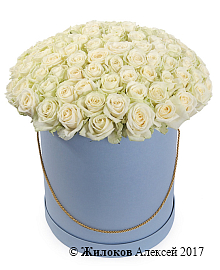 ����� 101 ���� ������� � ������� �������