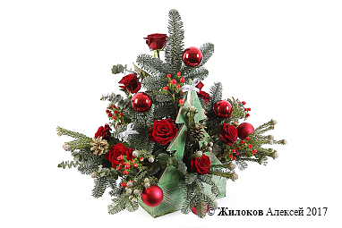 ���������� �������� �������