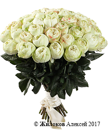 ����� 51 ����������� ���� ������ (����������)