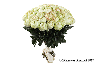 ����� 51 ����������� ���� ������ (����������)