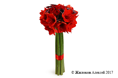 ����� � �������������� �������� ��������