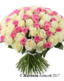 ����� ������ ����������, 101 ����