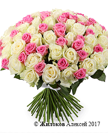 ����� ������ ����������, 101 ����