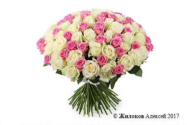 ����� ������ ����������, 101 ����