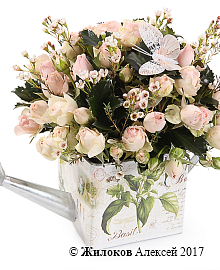 ����� ������� ���