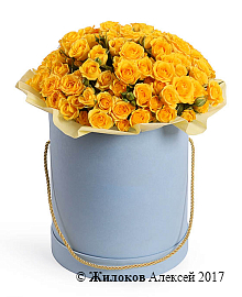 ����� ���� ������� � ������� �������