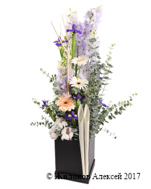 ����� �������� � ���� � ������� �������