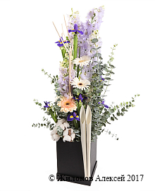 ����� �������� � ���� � ������� �������