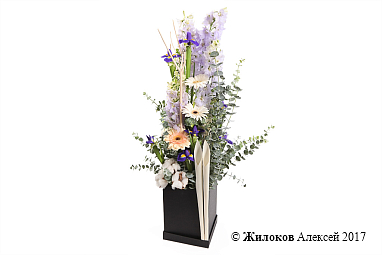 ����� �������� � ���� � ������� �������