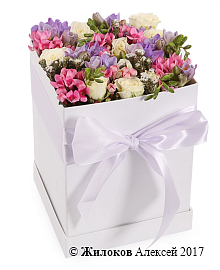 ����� � �������� ������ ����� � ������� �������