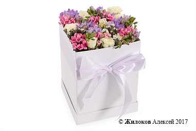 ����� � �������� ������ ����� � ������� �������