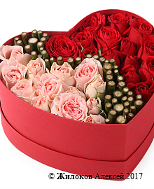 ����� ������ ���� ����� � ������� ������� ������