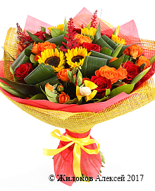 ����� � ������������ ����� �����