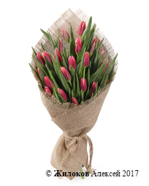 ����� ��� ���� (25 ���� ���������)