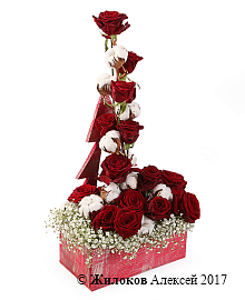 ���������� ������ ��� � �����