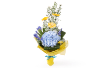 ����� �����