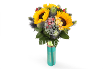 ����� � ������������ ����� ������