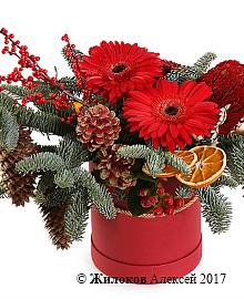 ����� ������ ������ � ������� �������