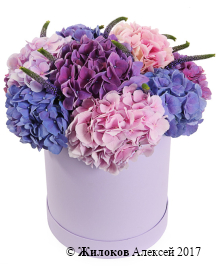 ����� � ����������� ������ � ������� �������