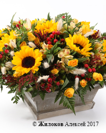 ���������� ���� � ������� � �����