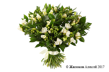 ����� � �������� ��������� ������