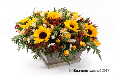 ���������� ���� � ������� � �����