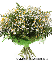 ����� � ��������� ������ �������