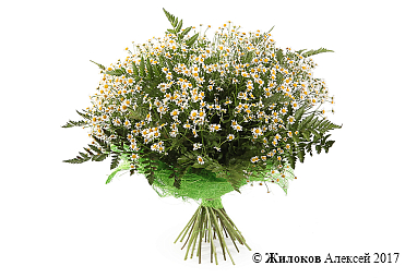 ����� � ��������� ������ �������