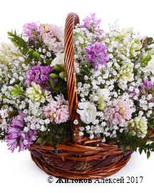 ����� � ���������� ��� � ����� � �������