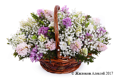 ����� � ���������� ��� � ����� � �������