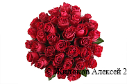 Букет 35 роз Родос