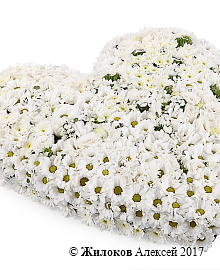 ����� ������ ����������