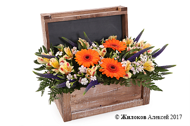 ���������� ������ �������� � �����