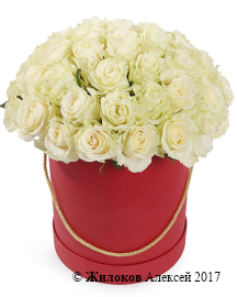 ����� 51 ���� �������� � ������� ������� �������