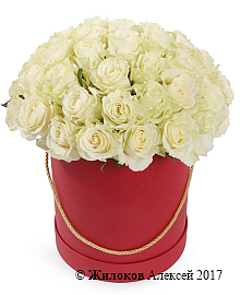 ����� 51 ���� �������� � ������� ������� �������