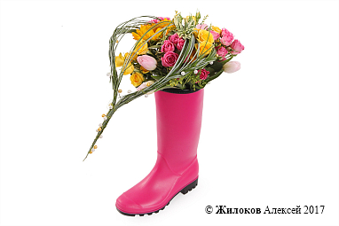 ����� ����� �� �����