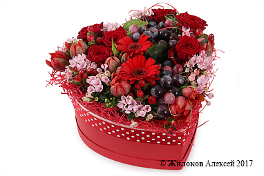 ����� ���������� ������� � ������� ������� ������